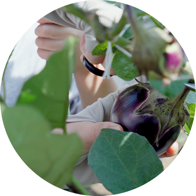 はじめの一歩保育園