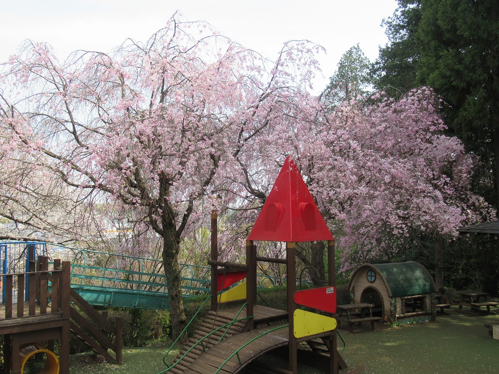 季節のフォトギャラリー