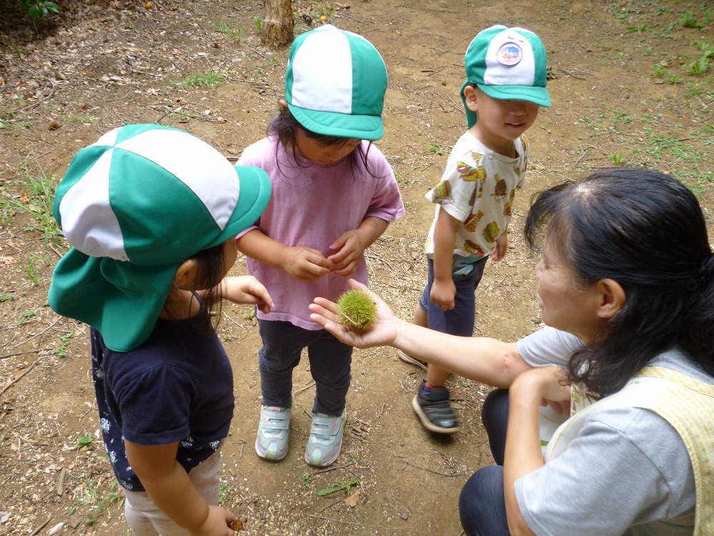季節のフォトギャラリー