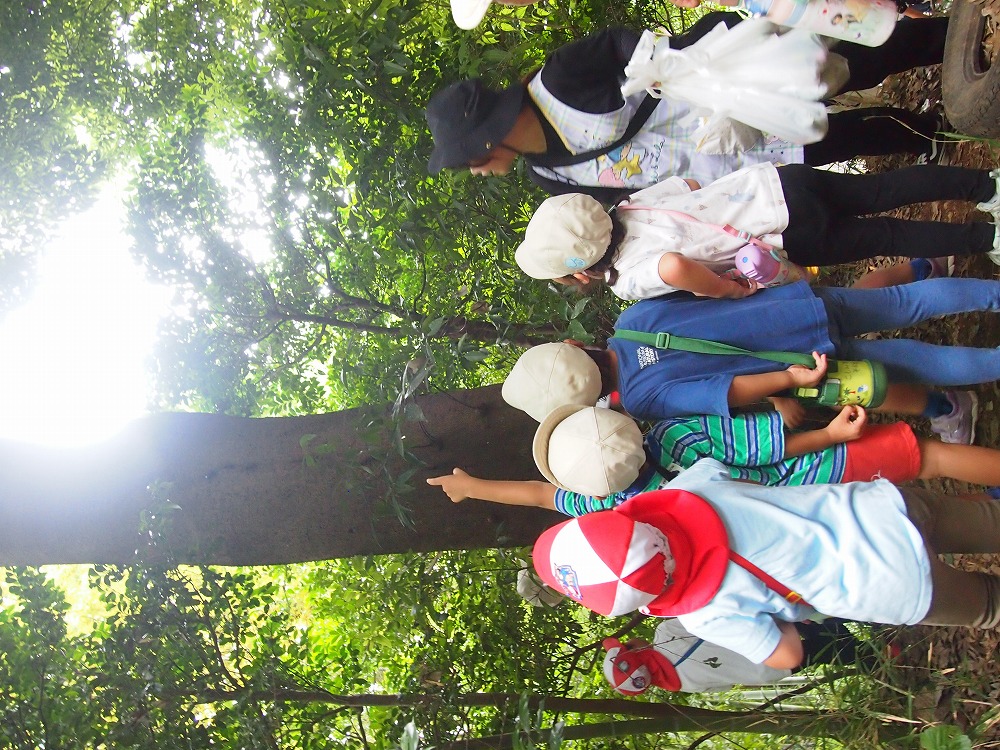 季節のフォトギャラリー