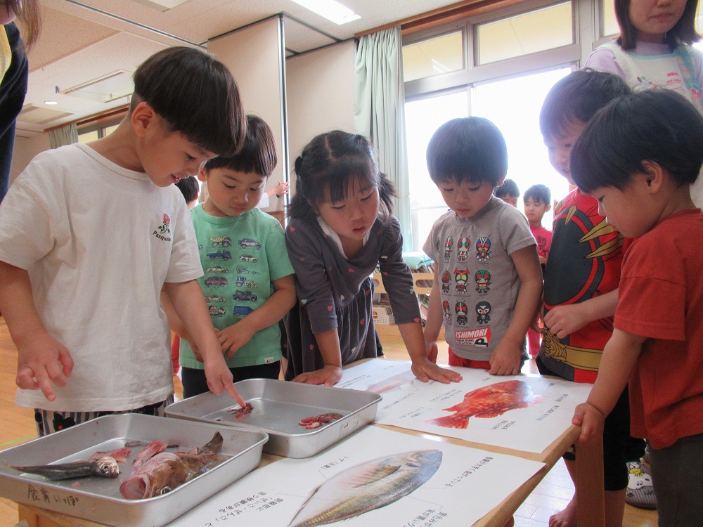 季節のフォトギャラリー