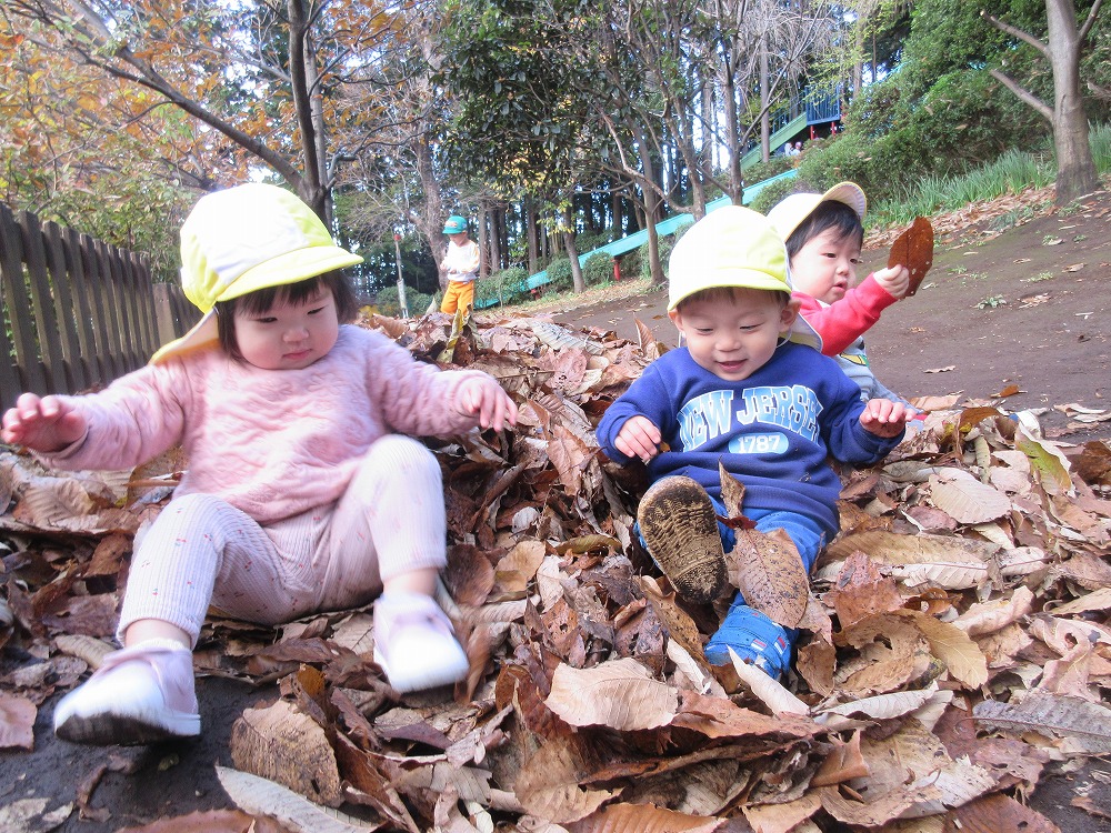 季節のフォトギャラリー