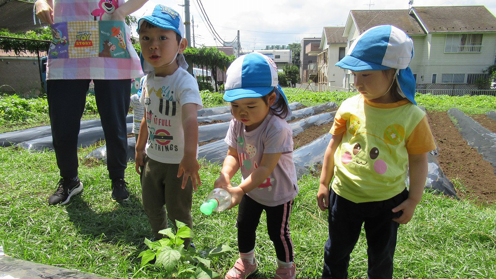 2. 自分の手で野菜を育てよう