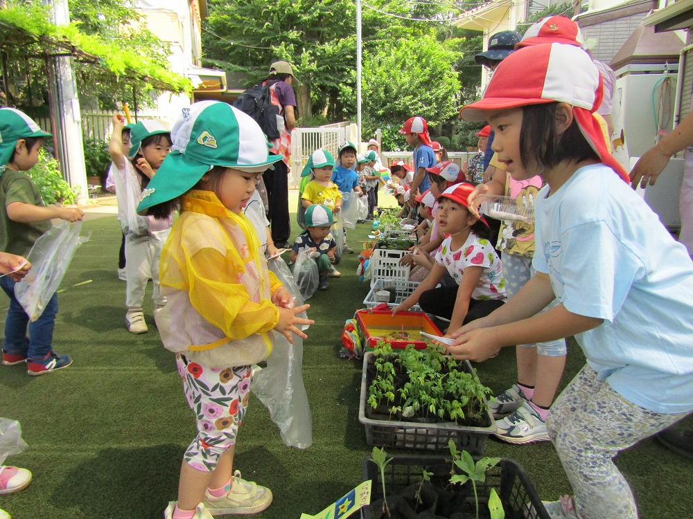 苗屋さんごっこ